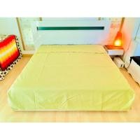 ราคา ปลอกคลุมที่นอนปิคนิค/ท๊อปเปอร์ หรือปลอกผ้านวม (แบบบาง) ขนาด 6.5ฟุต ผ้าทอลายวินเทจสีเขียวตอง ด้านบนมีระบาย (สภาพใหม่) (15447171944)