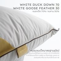 ราคา หลับสนิท PRIM หมอนขนเป็ดแท้ 100% หมอนเพื่อสุขภาพ Ergonamic ให้สัมผัสความนุ่ม ประดุจนอนหมอนโรงแรม 6 ดาว (24490980541)