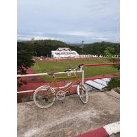 ราคา จักรยานBianchi merlo (13830474452)