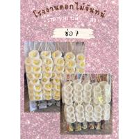ราคา ดอกไม้จันทร์ช่อเชิญ/ช่อ7 (44367344473)