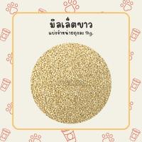 ราคา อาหารนก นกหงส์หยก มิลเล็ตขาว มิลเล็ตนกหงส์หยก 1kg. (22148871225)