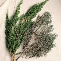 ราคา ฮิโนกิ วัสดุพวงมาลัยเทศกาลยูนนานอมตะที่ทําด้วยมือผลิตภัณฑ์สําเร็จรูปต้นคริสต์มาสวัสดุตกแต่งคริสต์มาสไซเปรสสนไซเปรส 368ย (54802897888)