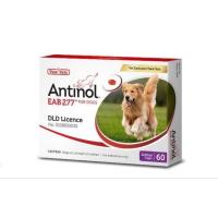 ราคา Antinol อาหารเสริมบำรุงข้อสำหรับสุนัข 1กล่อง บรรจุ60เม็ด (24435760757)