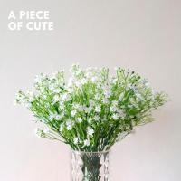 ราคา ดอกยิปโซ ยิปโซฟิลล่า ยิปโซปลอม ดอกยิปโซฟิลล่าประดิษฐ์ ดอกยิปโซปลอม ช่อดอกยิปโซ ช่อแซมดอกไม้ ดอกแซม_apxgyp01 (19549419184)