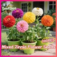 ราคา เมล็ดพันธุ์ ดอกบานชื่นคละสี 200เมล็ด Mixed Zinnia Flower Seed เมล็ดพันธุ์แท้ ดอกบานชื่นซ้อน เมล็ดบานชื่น ปลูกง่าย (45804002306)