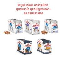 ราคา Royal Canin Royal Canin อาหารเปียก สูตรแมวโต ดูแลปัญหาเฉพาะ 85 กรัมX12 ซอง (155751738)