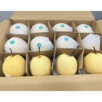 ราคา สาลี่น้ำผึ้ง ผลไม้มงคล หวาน กรอบ อร่อย แช่เย็นชื่นใจ 1 kg. (54702253600)