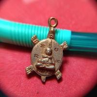 ราคา เต่าหลวงปู่หลิว วัดไร่แตงทอง (24442536600)