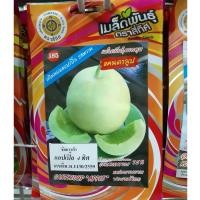 ราคา แคนตาลูป 10 แถม 1 เมล็ดแคนตาลูป แอปเปิ้ลสี่ทิศ กลิ่นหอมแอปเปิ้ล รสหวาน เมล่อน เมล็ดเมล่อน (7013465330)