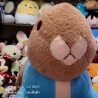 ราคา สินค้าขายในไลฟ์ ปีเตอร์แรบบิท (4540864803)