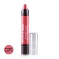 ราคา Burt's Bees Lip Crayon 3.11g