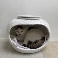 ราคา โอ่งแมว ขนาด 15นิ้ว มือสองสภาพ 99.99% (22930190368)