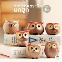 ราคา กระถางเซรามิคนกฮูก กระถางต้นไม้ แคคตัส กระบองเพชร ไม้อวบน้ำ Cactus&Succulent (5939872451)
