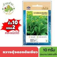ราคา เจียไต๋ (ซื้อ10แถม2) เมล็ดพันธุ์ กวางตุ้งดอกต้นเขียว ขนาด10กรัม ประมาณ3,900เมล็ด Flowering Pak Choy กวางตุ้ง เมล็ดพันธุ์ (5917923709)