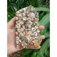 ราคา หินพระธาตุเขาสามร้อยยอดแกะสลักพญาครุฑ(หินเม็ด) (5777105895)