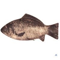 ราคา JS Silver Carp Real Fish-Like Zipper Pen & Make-Up Pouch Pencil Case Funny (43866564261)