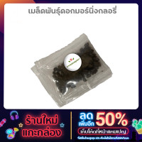 ราคา เมล็ดพันธุ์ดอกมอร์นิ่งกลอรี่ ดอกผักบุ้งฝรั่ง ซอง 200 เมล็ด (10246158845)