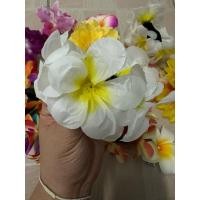 ราคา พร้อมส่งทันที่ยางรัดผมดอกลีลาวดี ยางรัดผมดอกไม้ดอกใหญ่ ยางรัดผมดอกไม้รัดผมวันสงกรานต์ (25271826581)