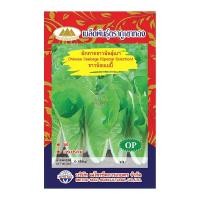 ราคา เมล็ดผักกาดขาวน้อย เมโทรเบบี้ Chinese Cabbane เมล็ดผักกาดขาว เมล็ดพันธุ์ผักกาดขาว ผักกาดขาว เมล็ดพันธุ์ผัก ตราภูเขาทอง (6958892104)