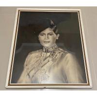 ราคา ภาพวาด สีฝุ่น คาร์บอน รูป สมเด็จพระราชินี สำหรับปรับนักสะสม ตกแต่ง ประดับ (24093282186)