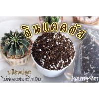 ราคา ดินแคคตัส ผสมเสร็จ พร้อมปลูก (13306576066)