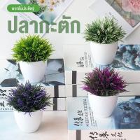 ราคา ส่งมาจากกรุงเทพฯ เครื่องประดับพืชประดิษฐ์บอนไซปลากะตัก (24768930742)