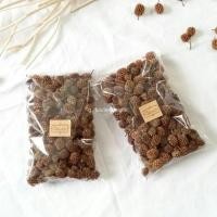 ราคา ลูกสนทะเล (ลูกไม้จริง ลูกไม้แห้ง) (2237127145)