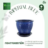 ราคา กระถางเซรามิค Imperial Blue 9 นิ้ว (ผิวหยัก) (24002106447)