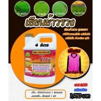 ราคา [พร้อมส่ง] เซียนข้าวรวง ขนาด 4ลิตร แถมเสื้อ 1ตัว ฮอร์โมนบำรุงข้าวตั้งท้อง อาหารเสริมพืช ปุ๋ย ข้าวรวง ฮอร์โมนพืช ปุ๋ยข้าว (22176358118)