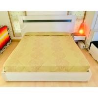 ราคา ผ้าปูที่นอนรัดมุม (แบบหนา) ขนาด 6.5-7ฟุต สีเขียวลายวินเทจ ด้านบนมีระบาย มือสองสภาพดี สินค้าญี่ปุ่น-เกาหลีแท้ (18189809212)