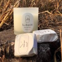 ราคา Box Set B | ขนาด 120 ml 1 กลิ่น + ทีไลท์ 2 กลิ่น | เทียนหอม soy wax 100% ออแกนิก (20472134181)