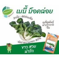 ราคา เบบี้ บ็อคฉ่อย (Baby Bokchoy) (12929612796)