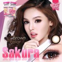 ราคา คอนแทคเลนส์Sakura Brown/Gray (Kitty Kawaii/Pitchylens) ขนาดบิ๊กอาย (13702540653)