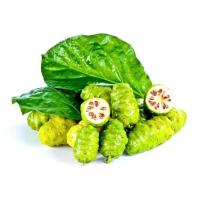 ราคา เมล็ดพันธุ์ลูกยอ(บรรจุ50เมล็ด) (26814127212)