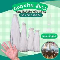 ราคา ถุงตาข่าย พร้อมตัวล็อก พลาสติก ถุงตาข่ายใส่ผลไม้ ใส่สินค้าเบ็ดเตล็ด ขนาด 20 30 40 50 ซม. ถุงตาข่ายอเนกประสงค์ (27685715741)