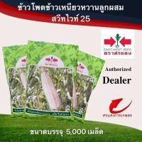 ราคา เมล็ดพันธุ์ ข้าวโพดสวีทไวท์25 200 กรัม 5000เมล็ด #เมล็ดพันธุ์ศรแดง #ข้าวโพดข้าวเหนียวหวาน #ข้าวโพดสีขาวหวาน (8458944901)
