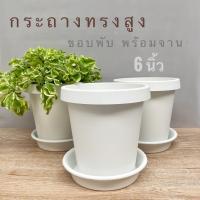 ราคา กระถางพร้อมจาน,กระถางขาว,กระถางทรงสูง,กระถางต้นไม้สีขาว 6 นิ้ว,กระถางปากพับ,กระถางไม้กราฟ,กระถาง6นิ้ว (12529629543)