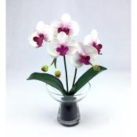 ราคา OrientalFineArt ดอกกล้วยไม้ประดิษฐ์ แจกันดอกไม้ประดิษฐ์ตกแต่งบ้าน กล้วยไม้สีขาว-ม่วง พร้อมแจกันแก้ว(FV-318-L F36) (3477034409)