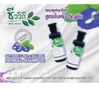 ราคา ชีววิถี แชมพูและครีมนวด สูตรใบหมี่- อัญชัน 240 มล. (24754857457)
