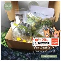 ราคา ชุดจัดสวนขวดแก้ว ทรงกลมเอียง Terrarium Set Double 2 ขวด ชุดจัดสวนขวด (9239529148)