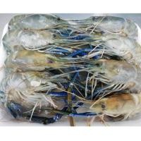 ราคา กุ้งแม่น้ำสดแช่แข็ง ขนาด 13-15ตัวต่อกิโล (16030672487)
