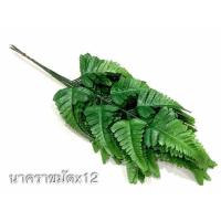 ราคา ใบไม้ปลอม เฟิร์นนาคราช (3119266340)