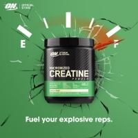 ราคา Optimum Nutrition Micronized Creatine Monohydrate Powder[300G] (42375920736)