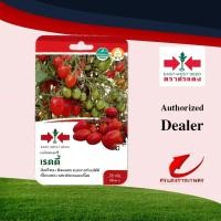 ราคา มะเขือเทศเชอร์รี่ลูกผสม เรดดี้ #เมล็ดพันธุ์ตราศรแดง #เมล็ดพันธุ์มะเขือเทศ (5156189290)