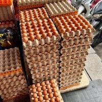 ราคา CP ไข่ไก่สดปลอดสาร เบอร์ 2 แพ็ค 30 ฟอง ถาดกระดาษ ไข่สด ไข่ไก่ ไข่ cp ไข่สวย ไข่ปลอดสาร โปรตีน ไข่ขาว (18892760945)