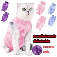 ราคา PawNai เสื้อบาง เสื้อผ้าหลังผ่าตัดแมวตัวเมีย หย่านม การป้องกันลูกแมว เครื่องแต่งกายสัตว์เลี้ยง S-L (40466809189)