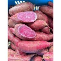 ราคา มันม่วงญี่ปุ่น-A 5 กก. มันหวานญี่ปุ่น(สีม่วง) - Japanese Purple Sweet Potato. (พันธุ์แท้ ปลูกในไทย) (52802033821)
