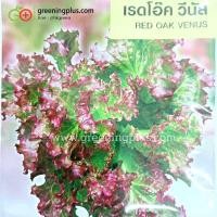 ราคา เรดโอ๊ค วีนัส (red oak venus) เจียไต๋ (44223196947)