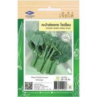 ราคา เมล็ดพันธ์ คะน้าฮ่องกง โอเชี่ยน เจียไต๋ (22847444972)