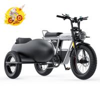 ราคา จักรยานไฟฟ้า COSWHEEL รุ่น CT20S ปี 2025 รุ่น Special Edition + รถข้างสุดเท่ (26506946383)